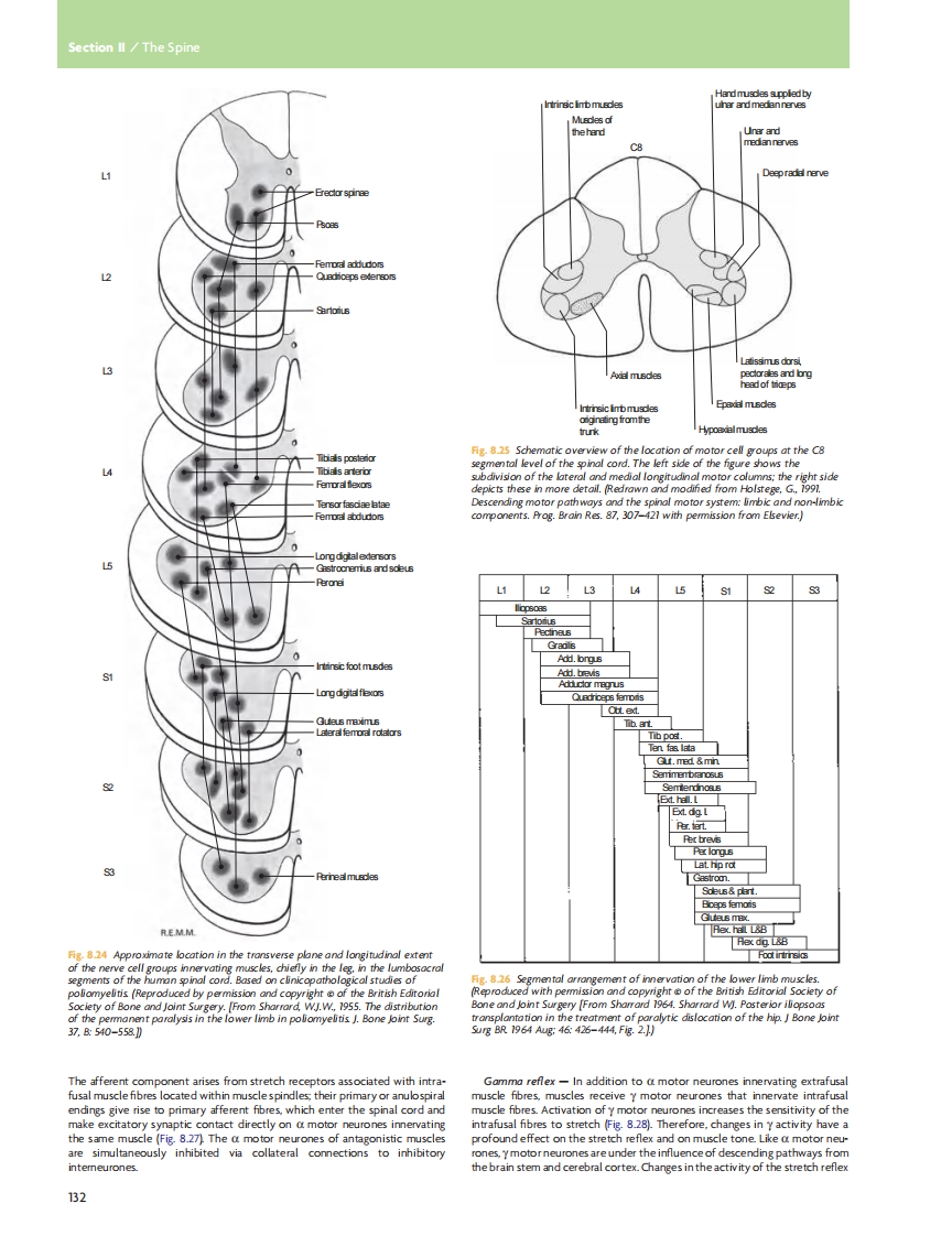 GRAY'S Clinical Neuroanatomy The Anatomic Basis for Clinical Neuroscience_部分7.pdf 第1页