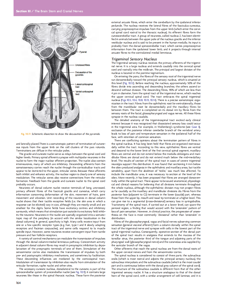 GRAY'S Clinical Neuroanatomy The Anatomic Basis for Clinical Neuroscience_部分8.pdf 第1页