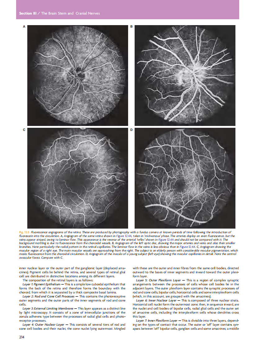 GRAY'S Clinical Neuroanatomy The Anatomic Basis for Clinical Neuroscience_部分10.pdf 第1页