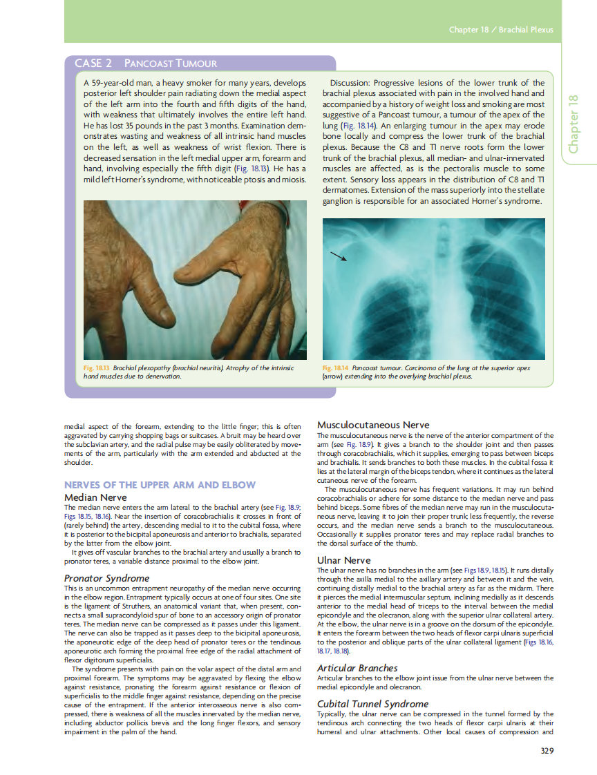 GRAY'S Clinical Neuroanatomy The Anatomic Basis for Clinical Neuroscience_部分14.pdf 第2页